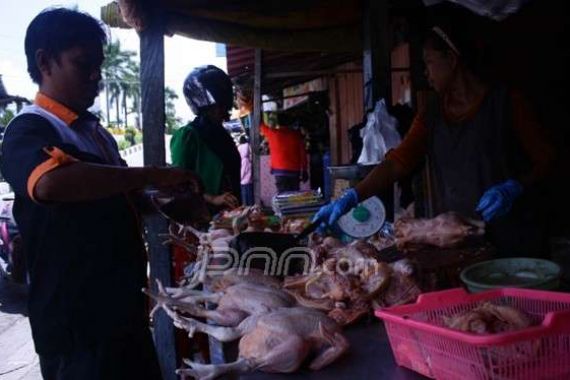 Lebaran Lewat, Harga Daging Ayam Masih Tinggi - JPNN.COM