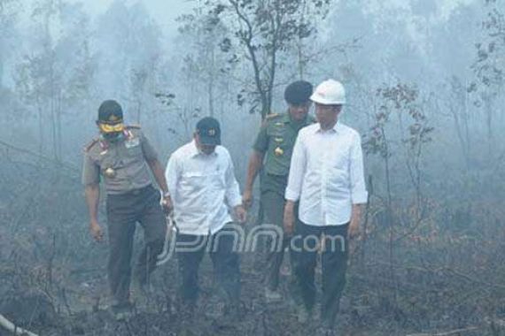 DPR Curigai Sikap Melunak Jokowi dengan SP3 Karhutla - JPNN.COM