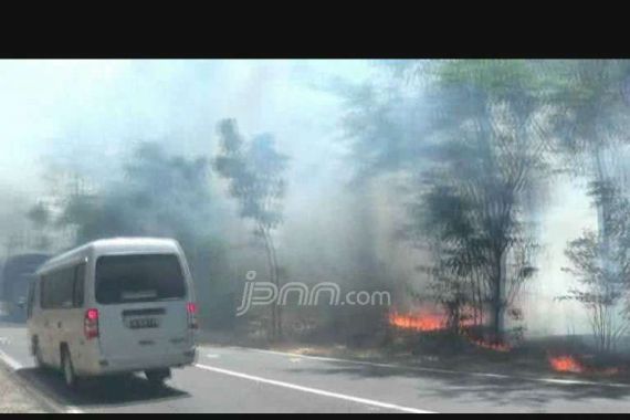 Duhâ€¦Hutan Taman Nasional Baluran Kok Bisa Terbakar - JPNN.COM