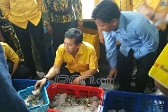 Hari Pertama Pendaftaran Calon Pilkada, Novanto Pilih Blusukan ke Kampung Nelayan - JPNN.COM