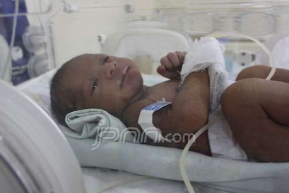 Pengusaha dan Polisi Berminat Mengadopsi Bayi dalam Tas Keresek - JPNN.COM