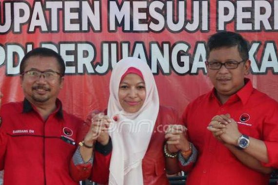 Perkenalkan, Inilah Jago PDIP untuk Pilkada Mesuji - JPNN.COM