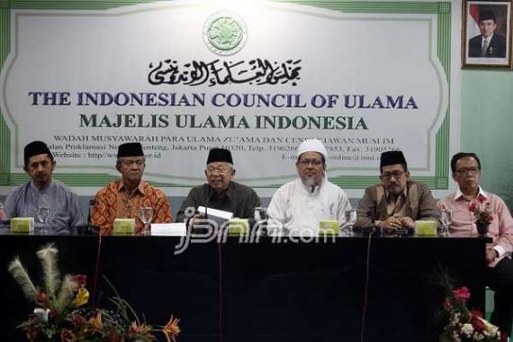 MUI Tak Akan Segan Sebut Ahok Penista Agama di Depan Jokowi - JPNN.COM