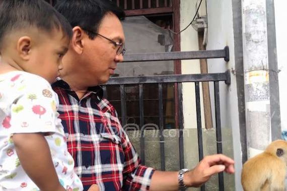 PPP Djan Faridz Pasang Iklan, Ahok Tak Berkenan - JPNN.COM