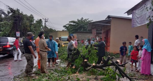 Pohon Tumbang Menimpa Pajero di Depok, 2 Orang Bernasib Nahas - JPNN.com