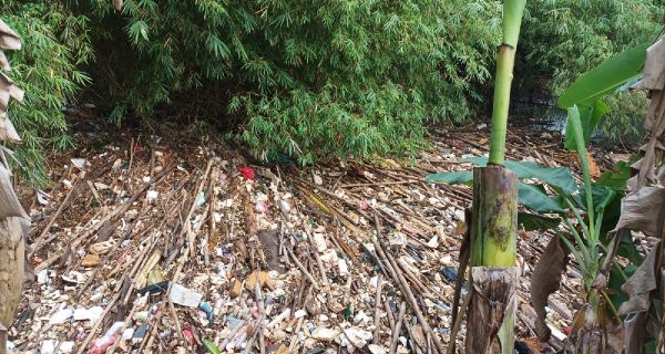 Sungai Cikeas Tersumbat Sampah Bambu, Warga Harap Waspada Banjir, Lihat Fotonya - JPNN.com