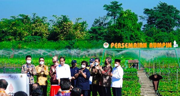 Presiden Jokowi Berkomitmen Atasi Perubahan Iklim, Nih Buktinya - JPNN.com