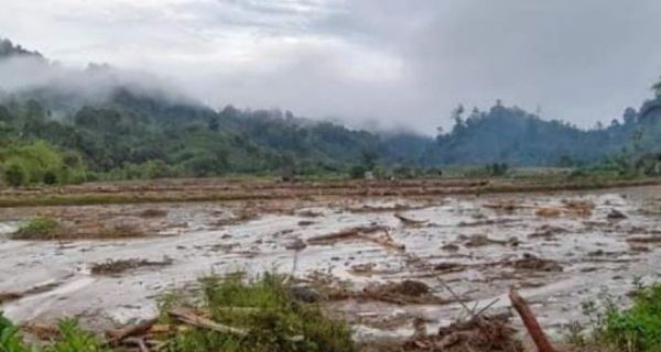 Banjir di Mamasa Merusak Puluhan Hektare Lahan Pertanian dan Hewan Ternak Hanyut - JPNN.com