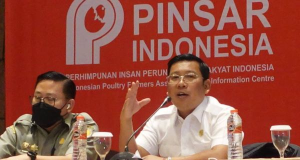 Langkah NFA Stabilkan Harga Telur - JPNN.com