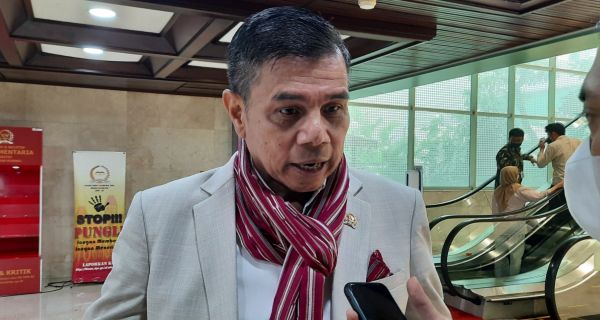 Hinca Demokrat: Kami Mendengar, Kasus Tom Lembong Sarat Balas Dendam Politik - JPNN.com