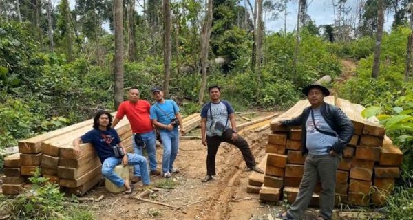 AKBP Nuswanto: Sudah Kami Tetapkan Satu Orang Tersangka Kasus Illegal Logging - JPNN.com