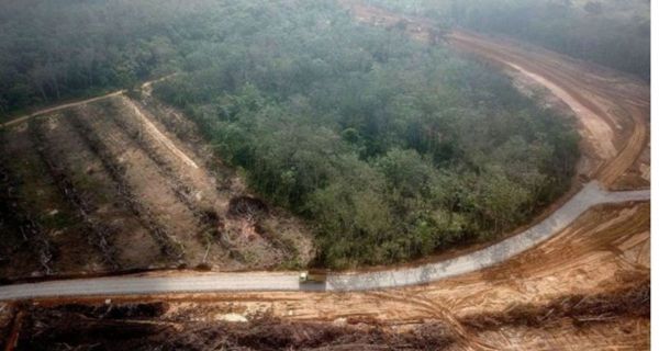 Kabar Terbaru Pembangunan Tol Trans Sumatera di Jambi, Seksi 4 Tempino-Simpang Ness Mulai Dikerjakan - JPNN.com