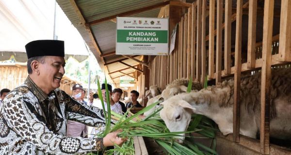 Balai Ternak dan Rumah Kompos Bantu Tingkatkan Ekonomi Warga Desa - JPNN.com