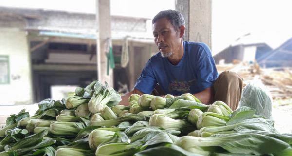 Petani Kecil Mulai Rasakan Efek Gerakan Boikot Restoran Waralaba yang Dianggap Terafiliasi Israel - JPNN.com