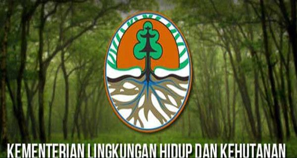 TORA Tawarkan Solusi Sengketa dan Konflik Kawasan Hutan - JPNN.com