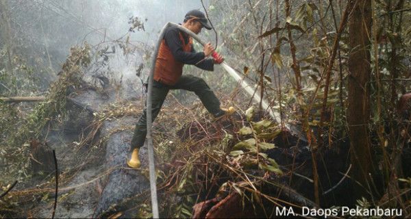 KLHK Padamkan Karhutla di Sumatera dari Darat dan Udara - JPNN.com