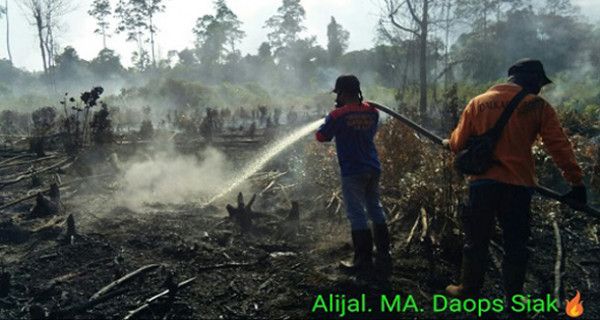 Manggala Agni Padamkan Beberapa Titik Karhutla di Riau - JPNN.com