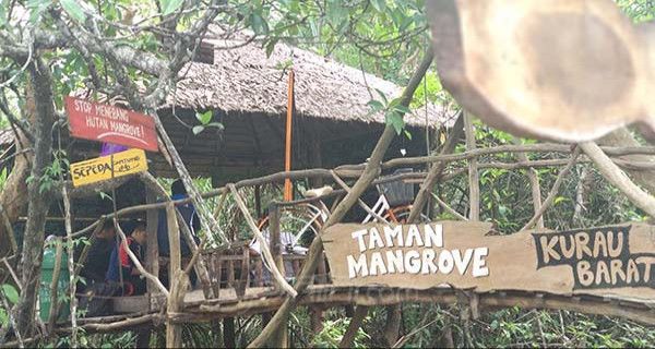 Nol Karbon & KPH Wilayah III Aceh Berkolaborasi, Siap Restorasi Hutan Mangrove - JPNN.com