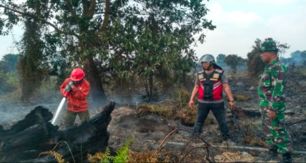 KLHK Sudah Buktikan, Tak Ada Ampun untuk Pelaku Pembakar Hutan dan Lahan - JPNN.com