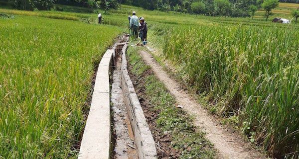 Manfaat Program RJIT Dirasakan Petani Tasikmalaya - JPNN.com