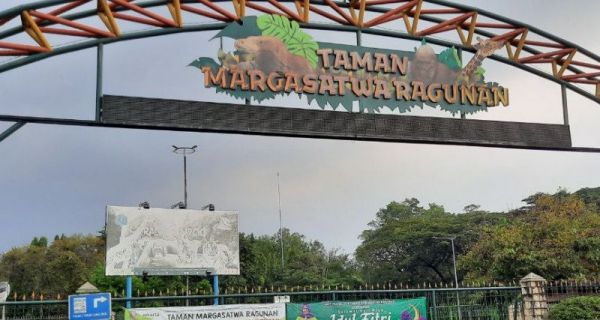 Kembali Beroperasi, Taman Margasatwa Ragunan Diserbu Ribuan Pengunjung - JPNN.com