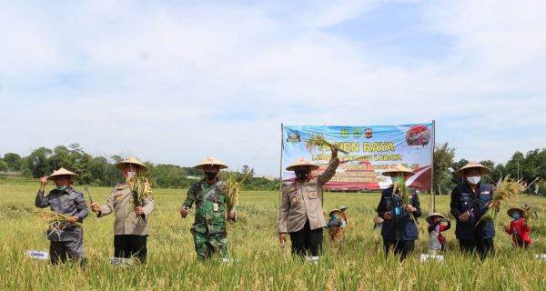 Idham Azis dan Hadi Tjahjanto Pimpin Panen Raya Desa Tangguh Majalengka - JPNN.com