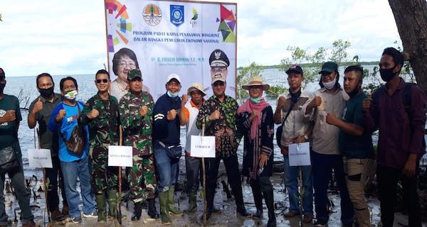 Masyarakat Belitung Inginkan Penanaman Mangrove Harus Berkesinambungan - JPNN.com