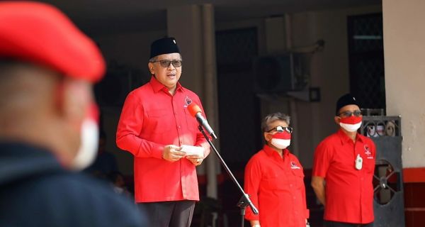 Hasto Kritisi Impor Paracetamol, Pangi: PDIP Sudah Pasti Menyinggung Pemerintahan Jokowi - JPNN.com