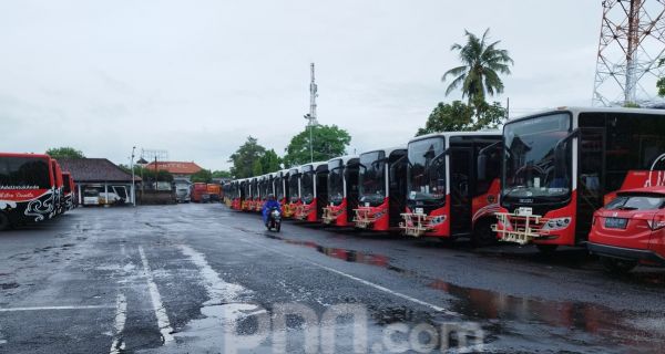 Dana Operasional Bus Trans Metro Dewata Kecil, MTI Bali Sentil Pemkab Badung - JPNN.com Bali