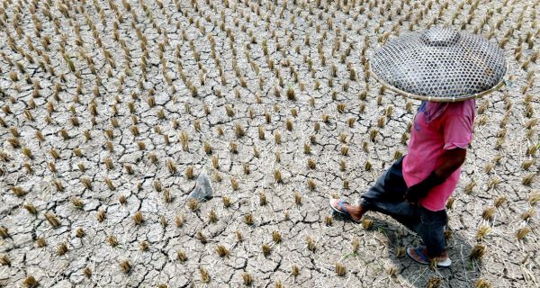 Antisipasi Kekeringan Akibat El Nino, BNPB dan BRGM Bekerja Sama Membuat Sumur Bor - JPNN.com