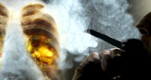 Setahun, 6 Triliun Lebih Rokok Dikonsumsi - JPNN.com