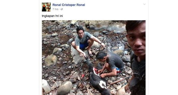 DPR: Hukum Pelaku Pembantaian Beruang Madu di Kalimantan - JPNN.com