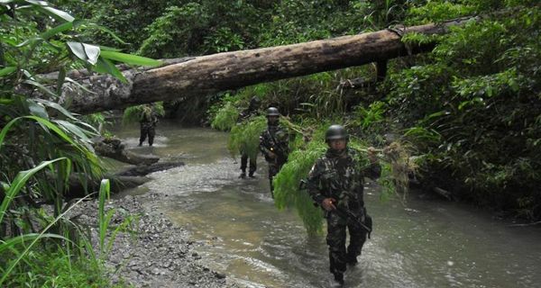 Satgas TNI di Perbatasan RI-PNG Temukan Ladang Ganja di Koordinat 8785-3235 - JPNN.com