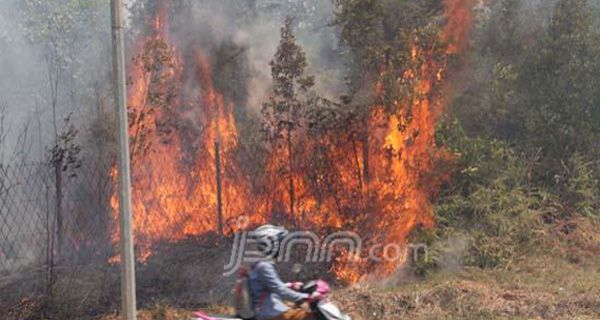 Perusahaan Komit Cegah Kebakaran Hutan di Jambi - JPNN.com