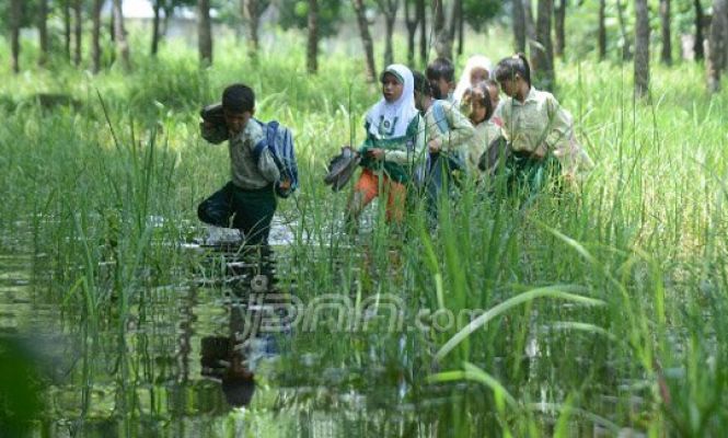 Akses Jalan Ditutup, Para Siswa SD ini Harus Susuri Rawa Demi Cita-cita