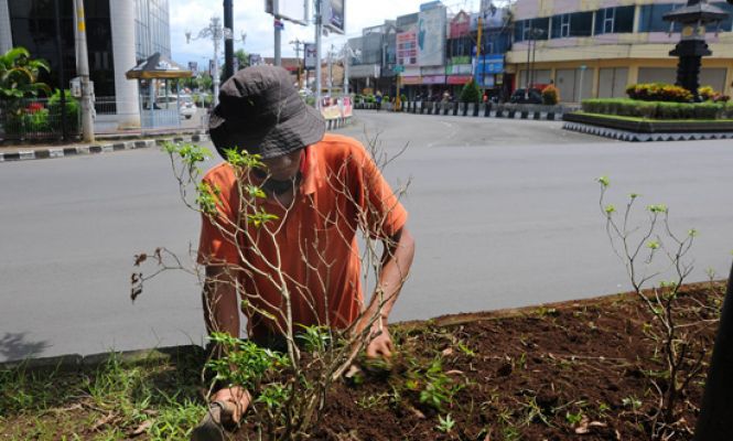 Kejar Adipura, Kota Purwokerto Kian Dipercantik