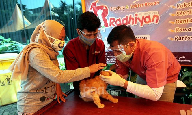 Peringatan Hari Rabies Sedunia