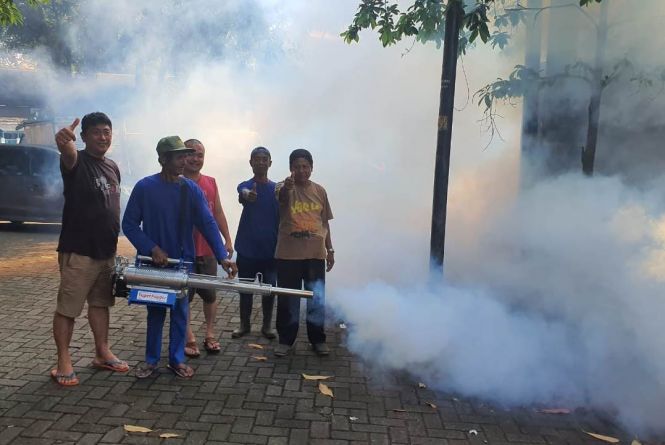 Kasus DBD di Yogyakarta Melebihi Tahun Lalu, Masyarakat Wajib Melakukan Hal Ini