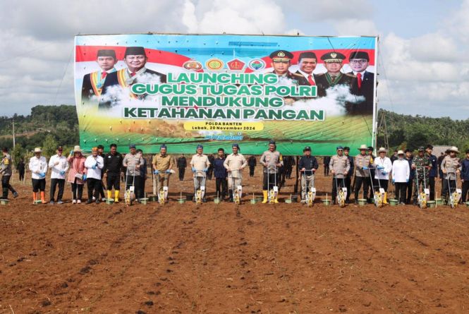 Polda Banten Sulap Lahan 4.325 Hektare Menjadi Ladang Jagung